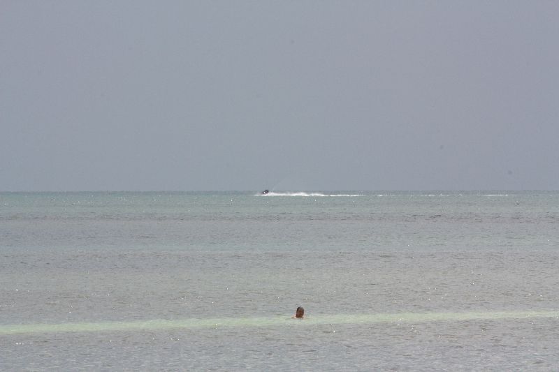 IMG 0175800