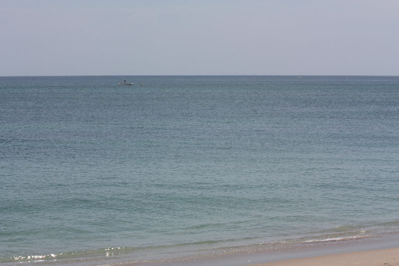 IMG 0252800