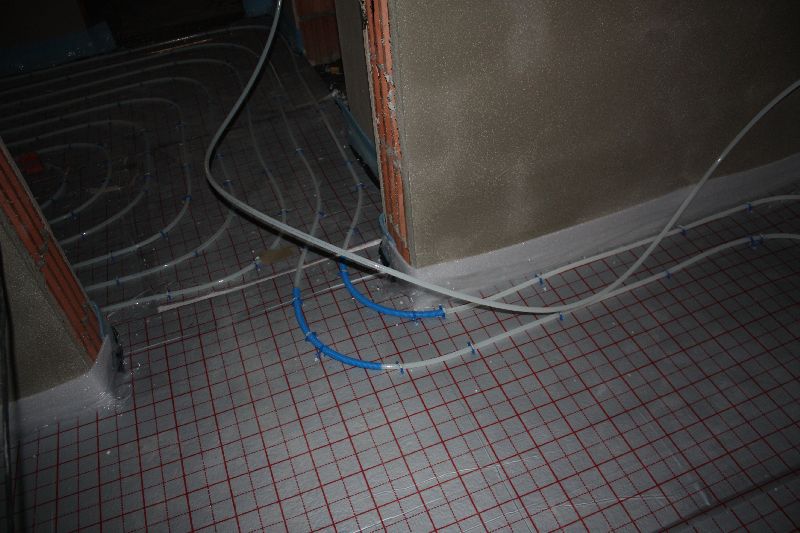 img 7381800