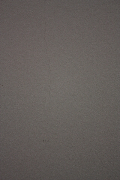 img 8262800