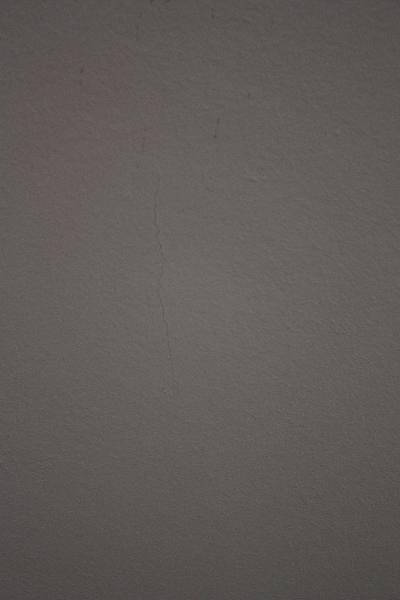 img 8263800