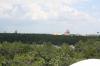 IMG 3285 800